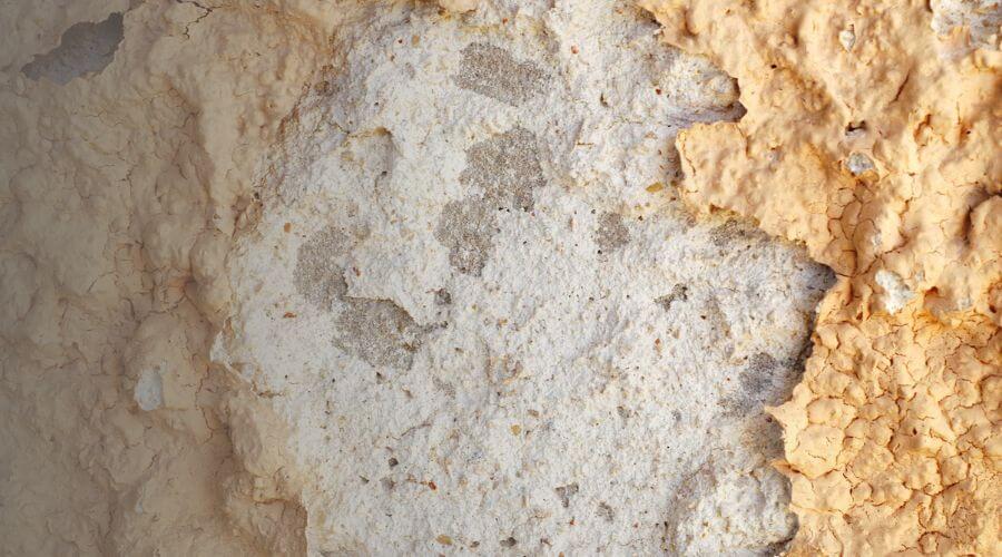 Why choose SpirePulse for water damage restoration in Clovis